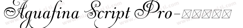 Aguafina Script Pro字体转换